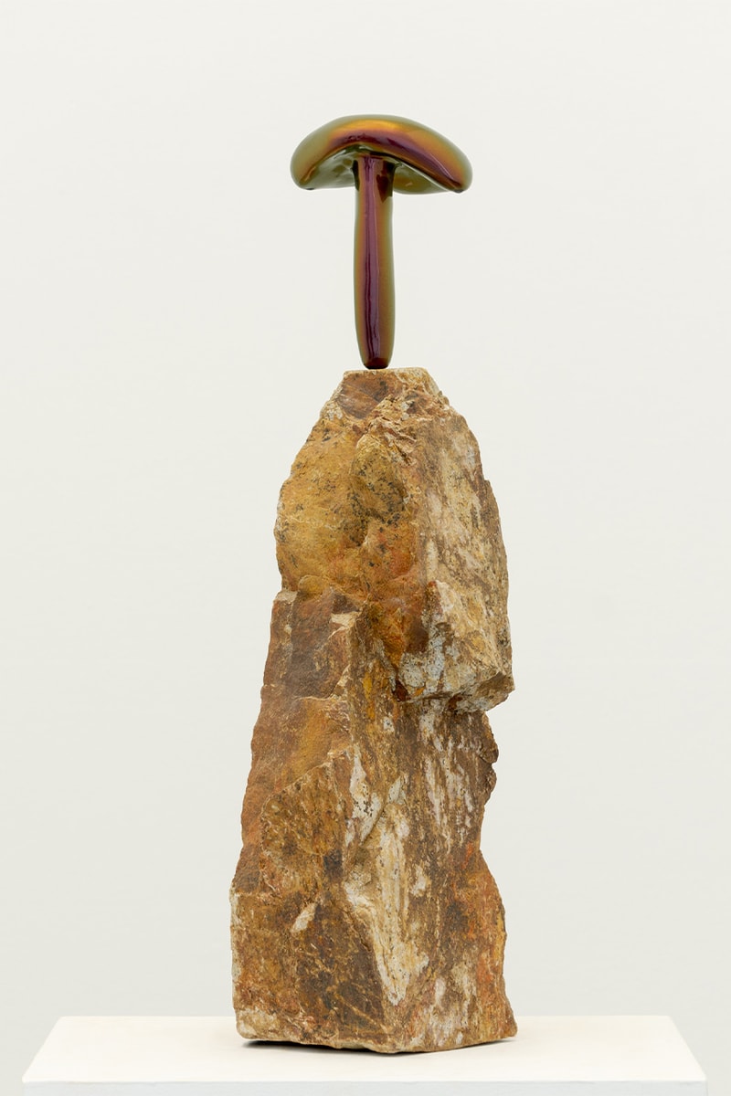 moral turgeman rooted signals exhibition praz delavallade projects details