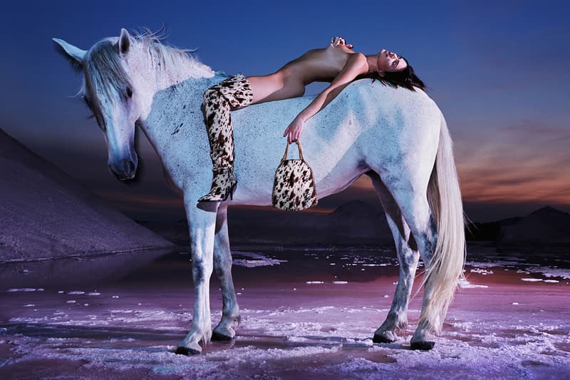 kendall jenner stella mccartney horses winter equestrian 