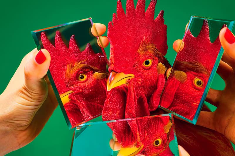 toiletpaper run as slow as you can exhibition nita mukesh ambani centre details