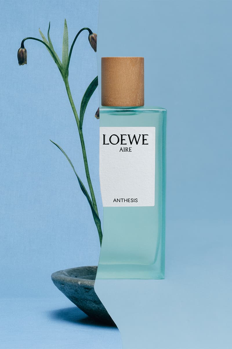 Loewe botanical rainbow perfume aire anthesis release price info