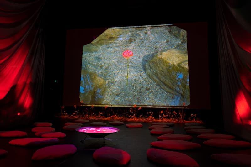 please dont hurt me kai isaiah jamal suzannah pettigrew brixton house