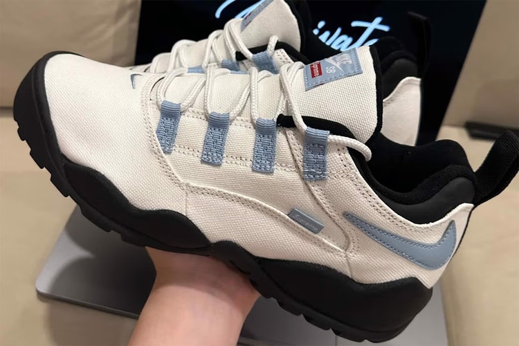 Supreme and Nike Tease Collaborative SB Air Darwin Low Sneaker