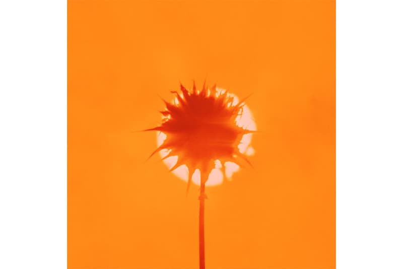 the magnum and world press photo square print salewritten by light images details