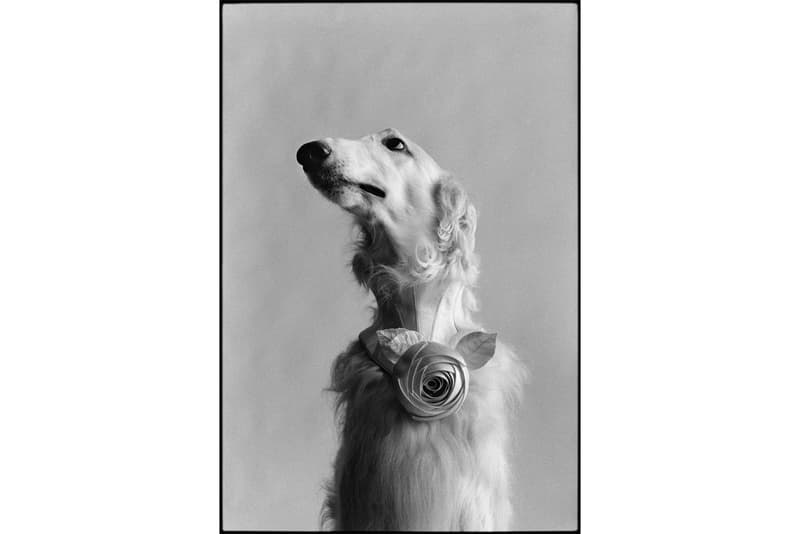 the magnum and world press photo square print salewritten by light images details