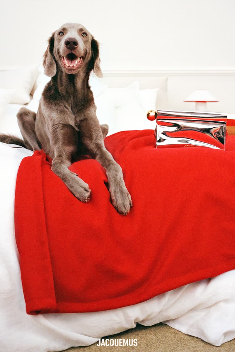 blackpink jennie jacquemus dogs holiday campaign furry