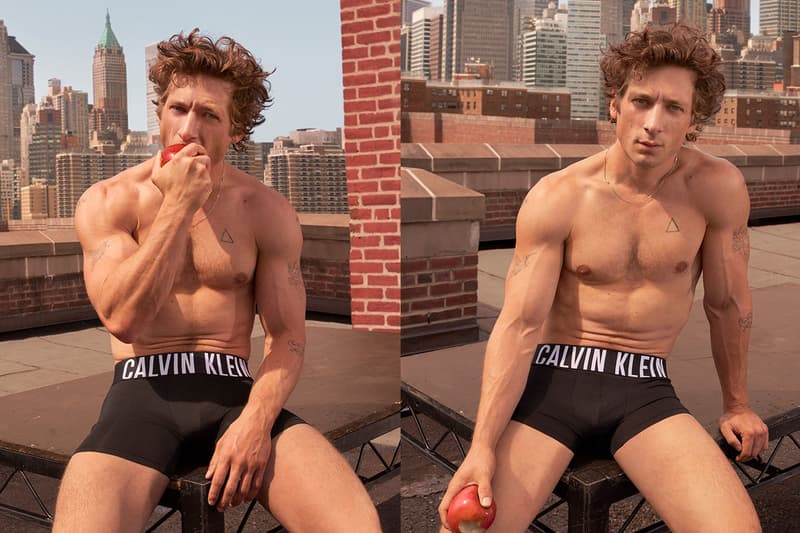 jeremy allen white calvin klein underwear boxers