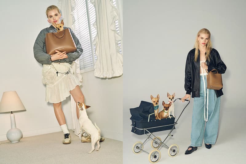 bimba y lola chihuahua bag dogs 