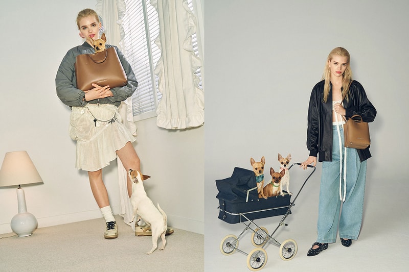 bimba y lola chihuahua bag dogs 