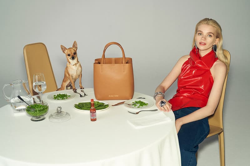 bimba y lola chihuahua bag dogs 