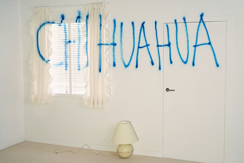 bimba y lola chihuahua bag dogs 