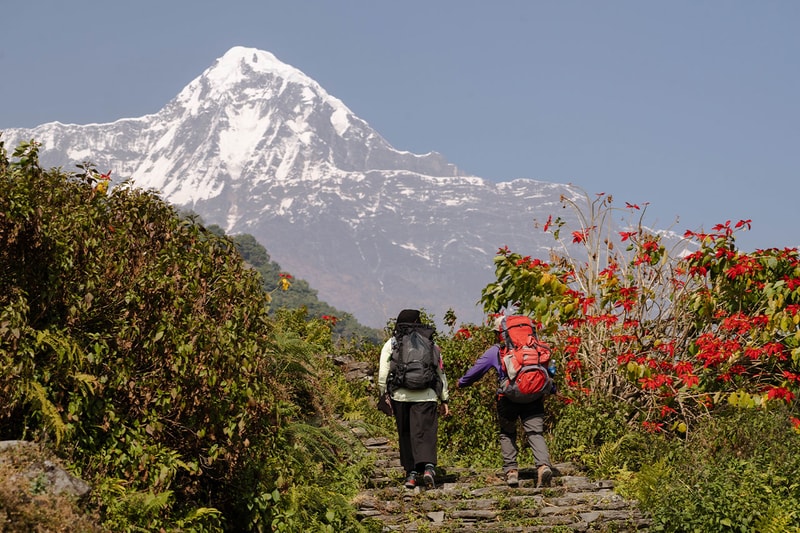 The North Face, The Wanderlust Women, Hiking, Debut Short Film, Belonging