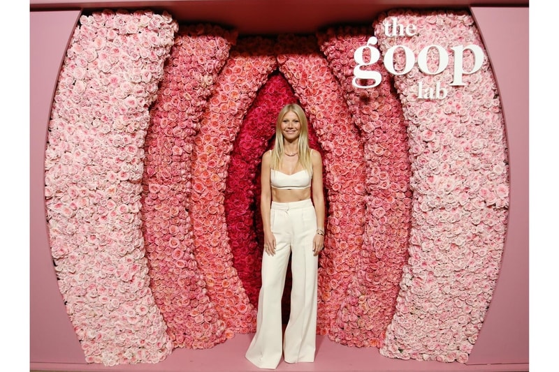 Gwyneth Paltrow goop