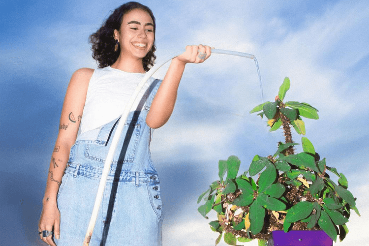 Nour on Crafting Musical Identity in Egyptian Culture