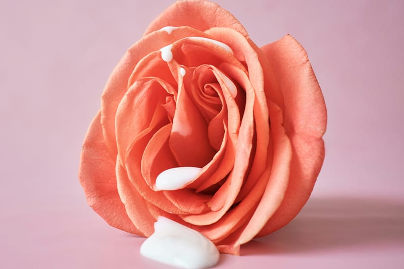 Women Aren’t Happy With Their Sex Lives, New Study Says