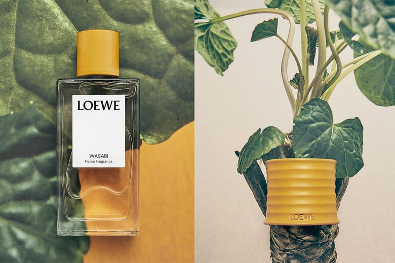 LOEWE’s New Home Fragrance Is Truly… Unexpected