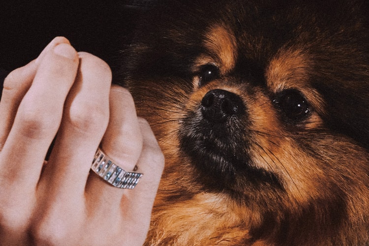 Fall in Puppy Love With Hatton Labs' Timeless FW24 Collection