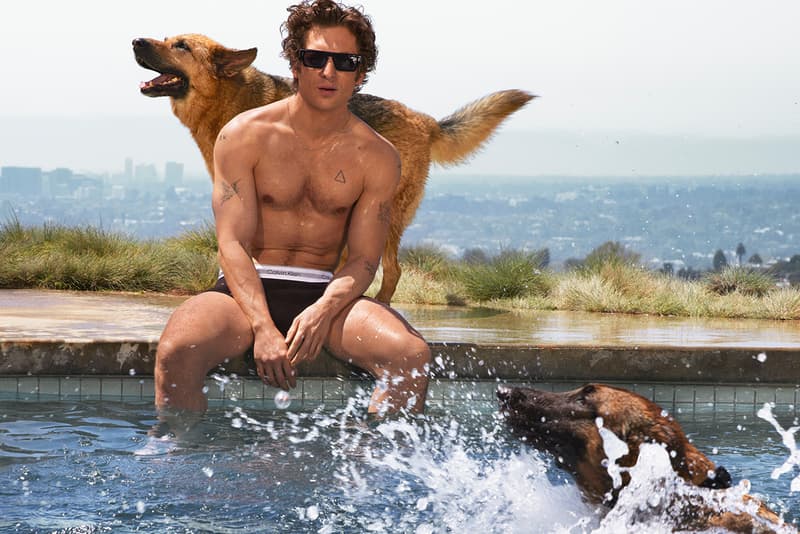 calvin klein jeremy allen white man body underwear dogs