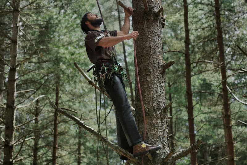 martine rose clarks outdoors trees shoes