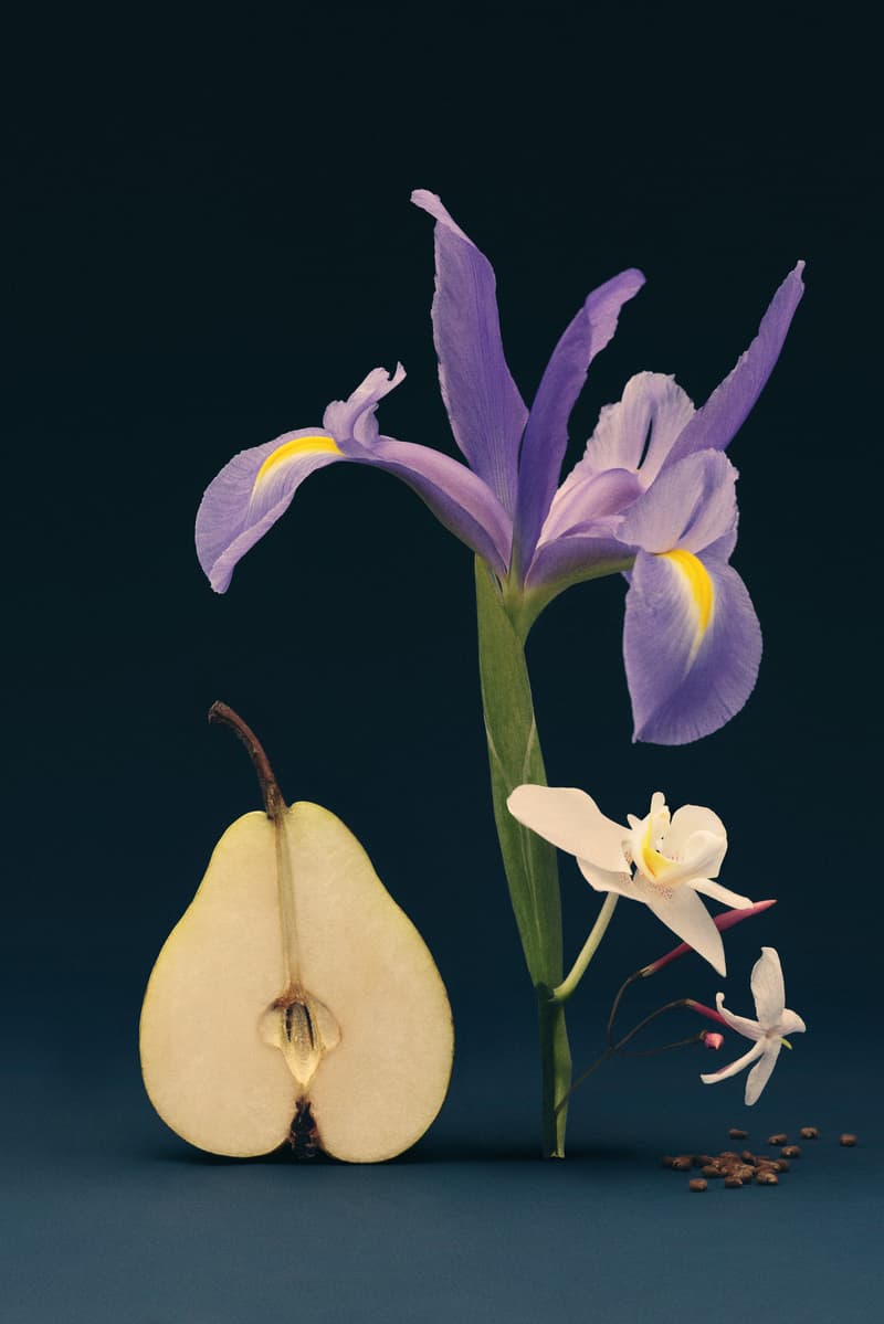 first-ever merit perfume with blue blackground, fragrance, beauty