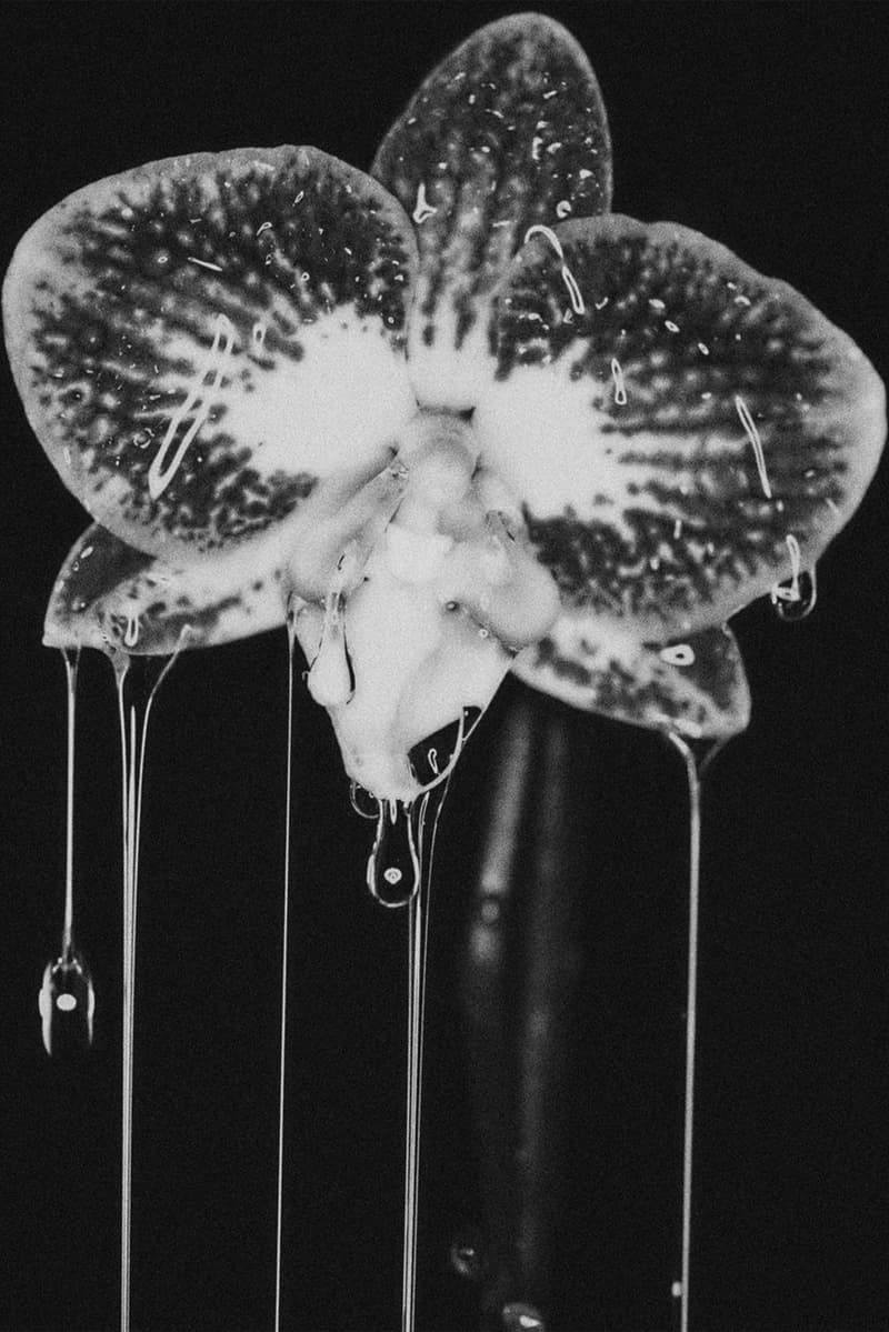 lubricants sexual wellness