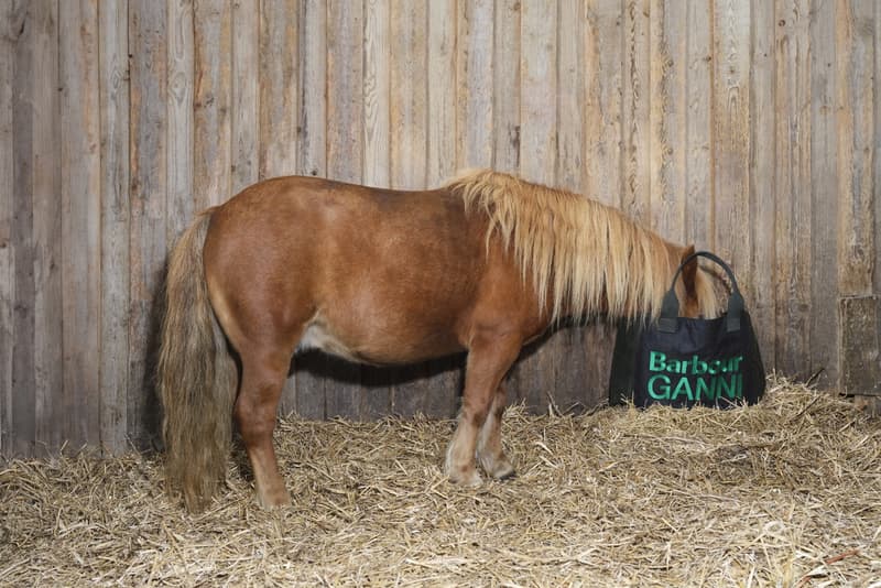 barbour ganni leopard print jacket