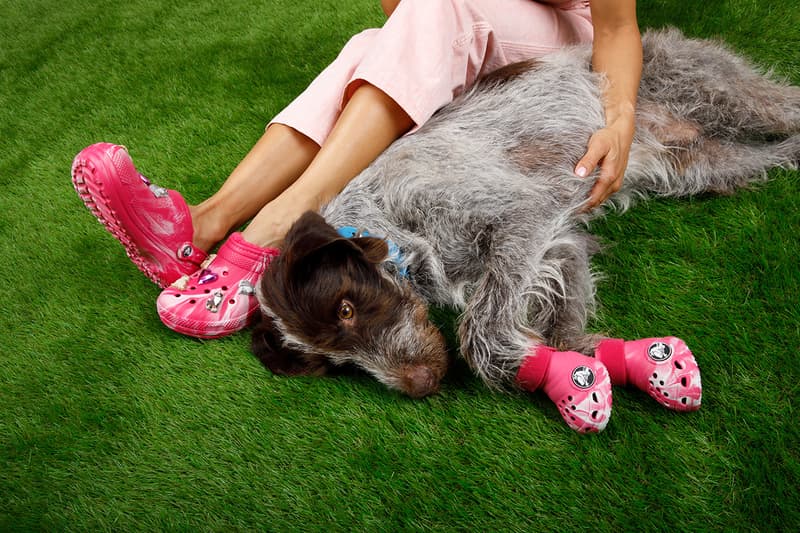 Crocs, Dogs, Boots, Green, Pink, Paris Hilton 