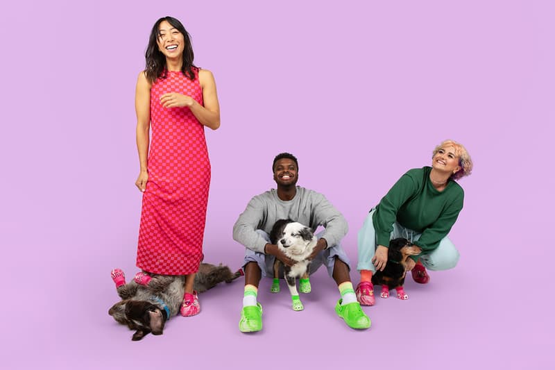 Crocs, Dogs, Boots, Green, Pink, Paris Hilton 