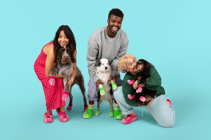 Crocs, Dogs, Boots, Green, Pink, Paris Hilton 