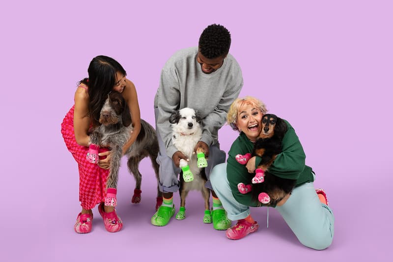 Crocs, Dogs, Boots, Green, Pink, Paris Hilton 