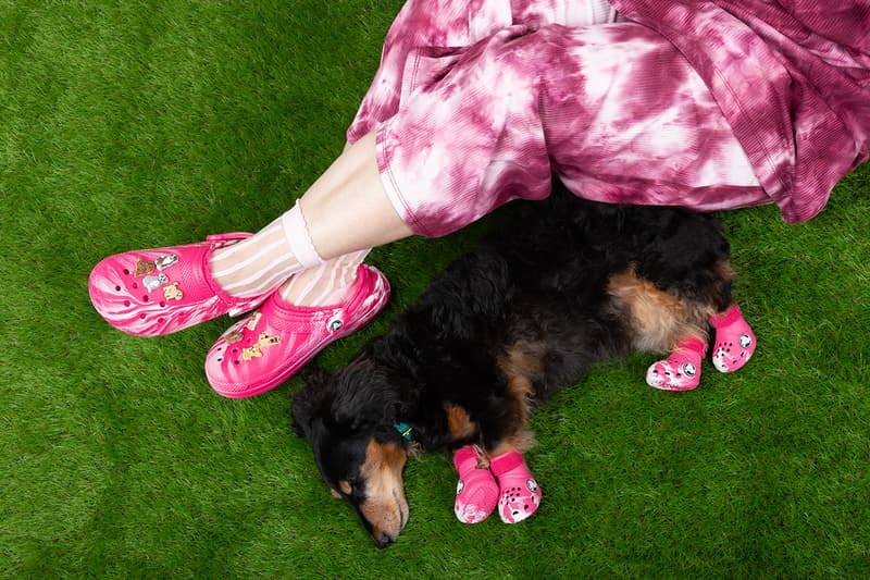 Crocs, Dogs, Boots, Green, Pink, Paris Hilton 