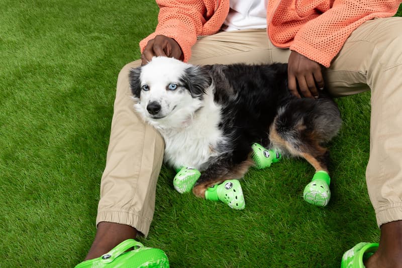 Crocs, Dogs, Boots, Green, Pink, Paris Hilton 