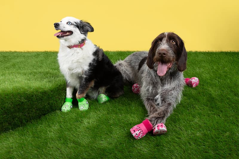 Crocs, Dogs, Boots, Green, Pink, Paris Hilton 