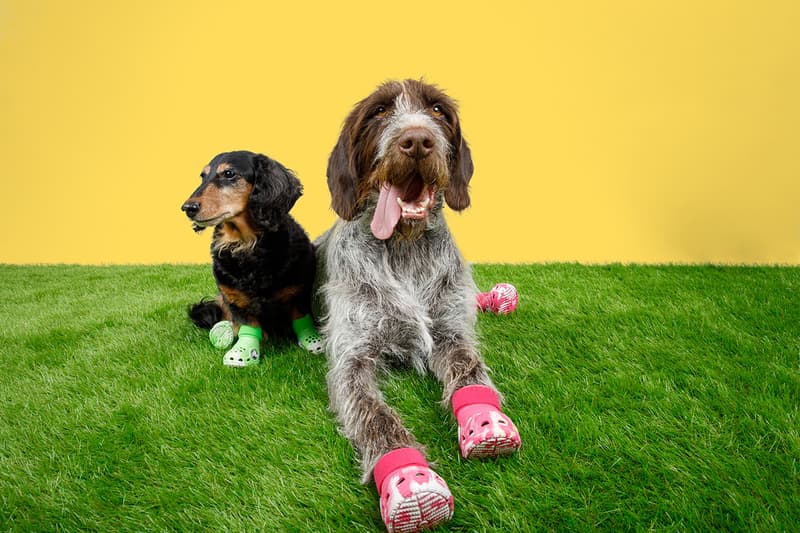 Crocs, Dogs, Boots, Green, Pink, Paris Hilton 