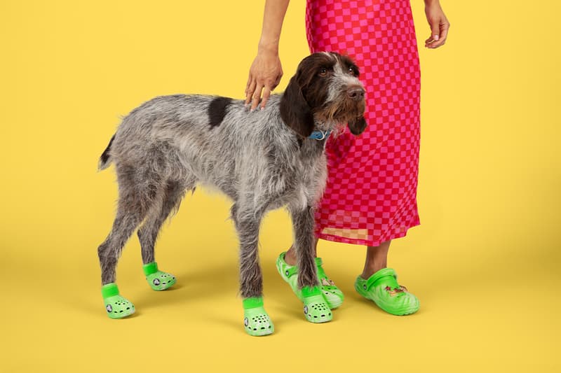Crocs, Dogs, Boots, Green, Pink, Paris Hilton 