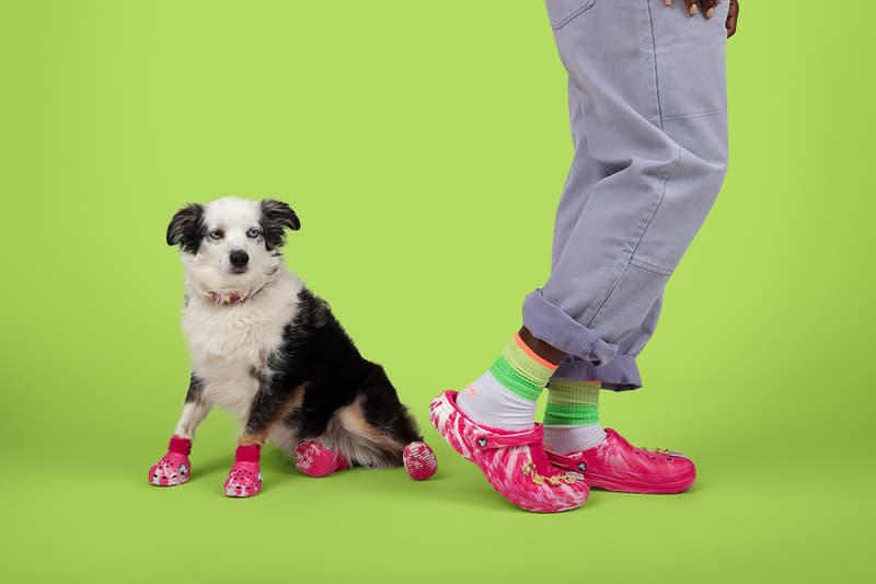 Crocs, Dogs, Boots, Green, Pink, Paris Hilton 