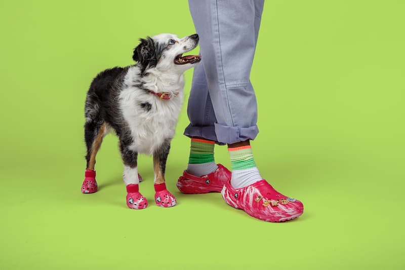 Crocs, Dogs, Boots, Green, Pink, Paris Hilton 