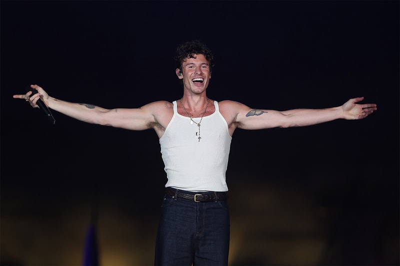 Shawn Mendes sexuality