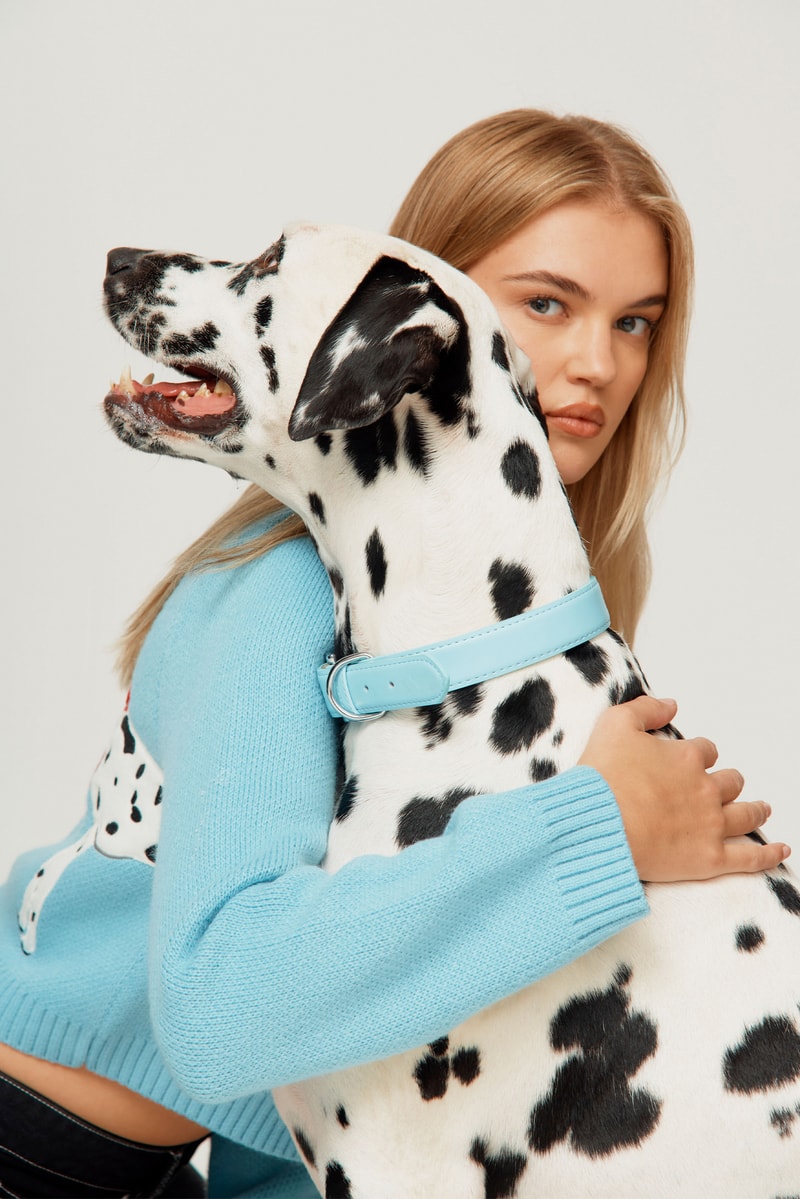house of sunny dogs cardigan knitwear puppy dalmatian