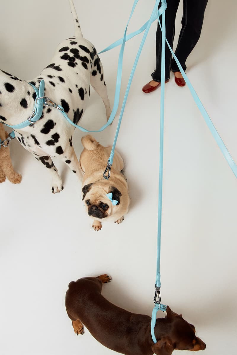 house of sunny dogs cardigan knitwear puppy dalmatian