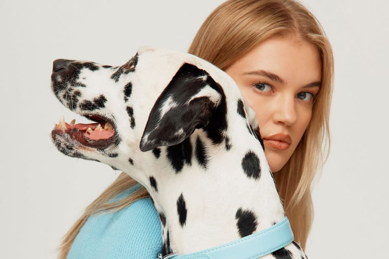 House of Sunny Let the Dogs Out