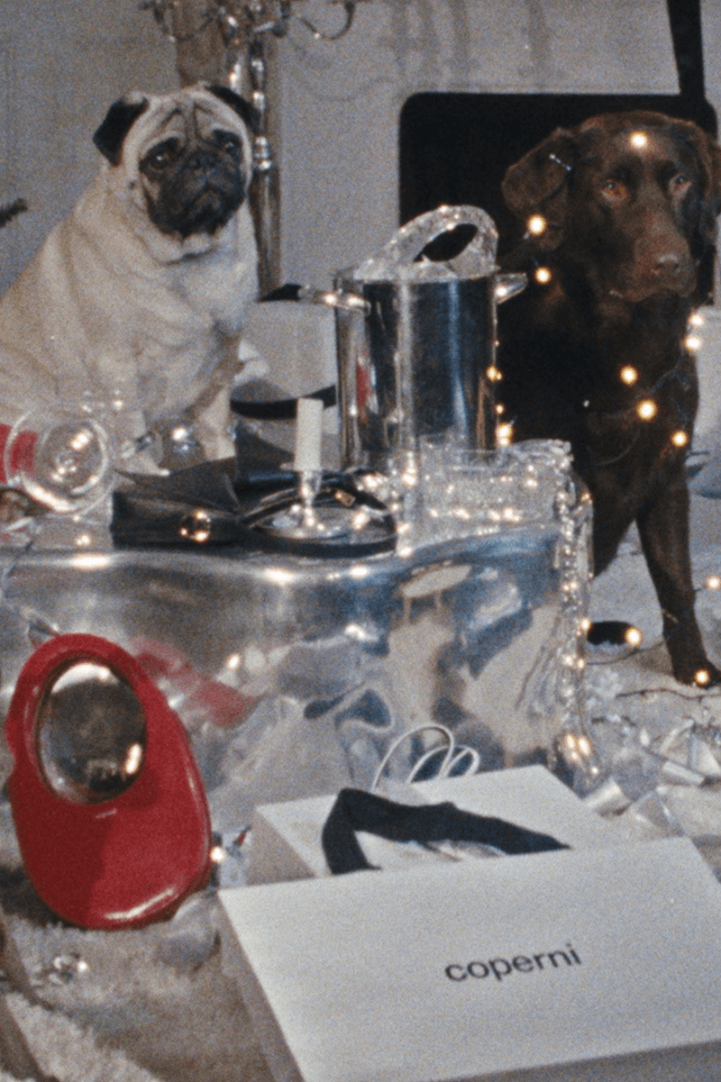 coperni holiday pug dog furry animal red leather boots