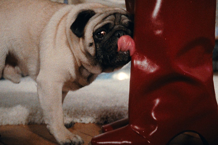 Coperni Gets Festive With Furry Friends