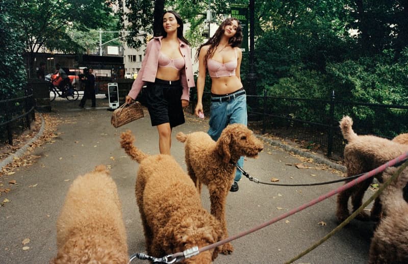 parade girls pink bra cardigan underwear dresses lace