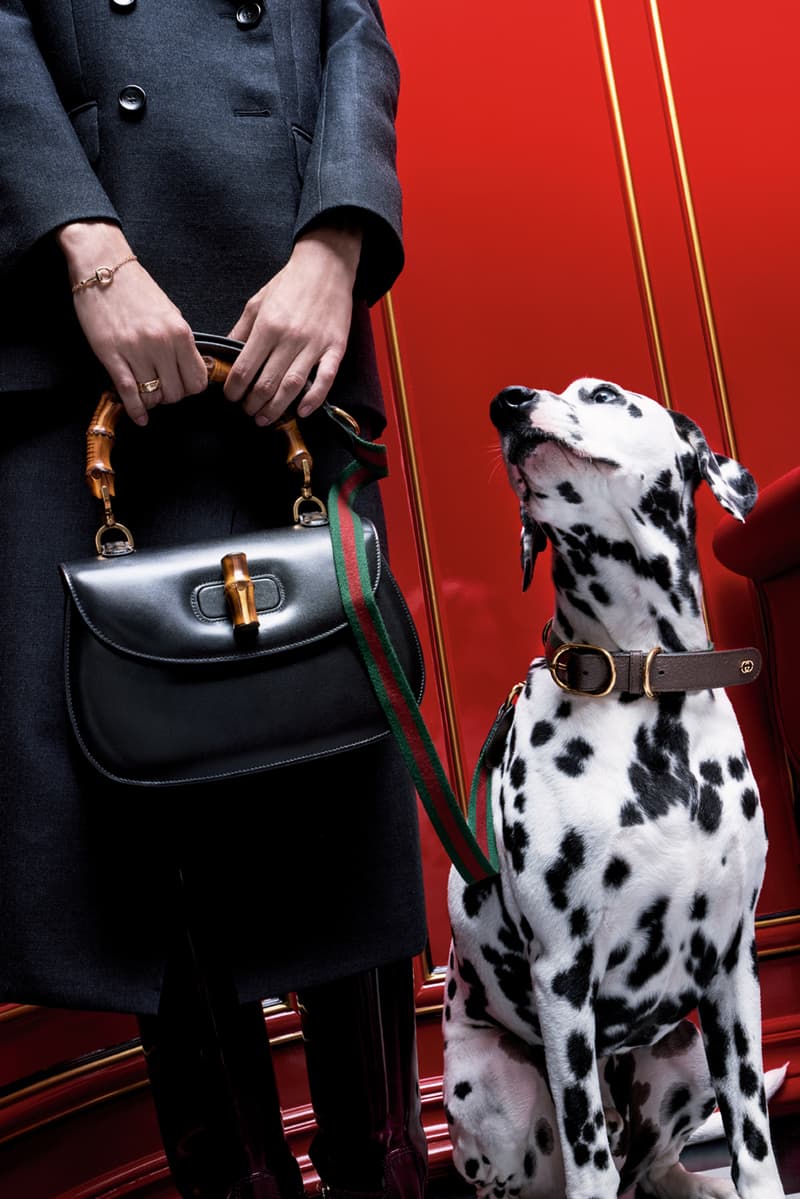 Kendall jenner solange tina knowles gucci holiday gift christmas family monogram 