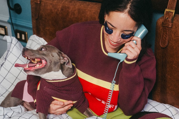 The Hoxton Has Your Four-Legged Friends Covered This Christmas