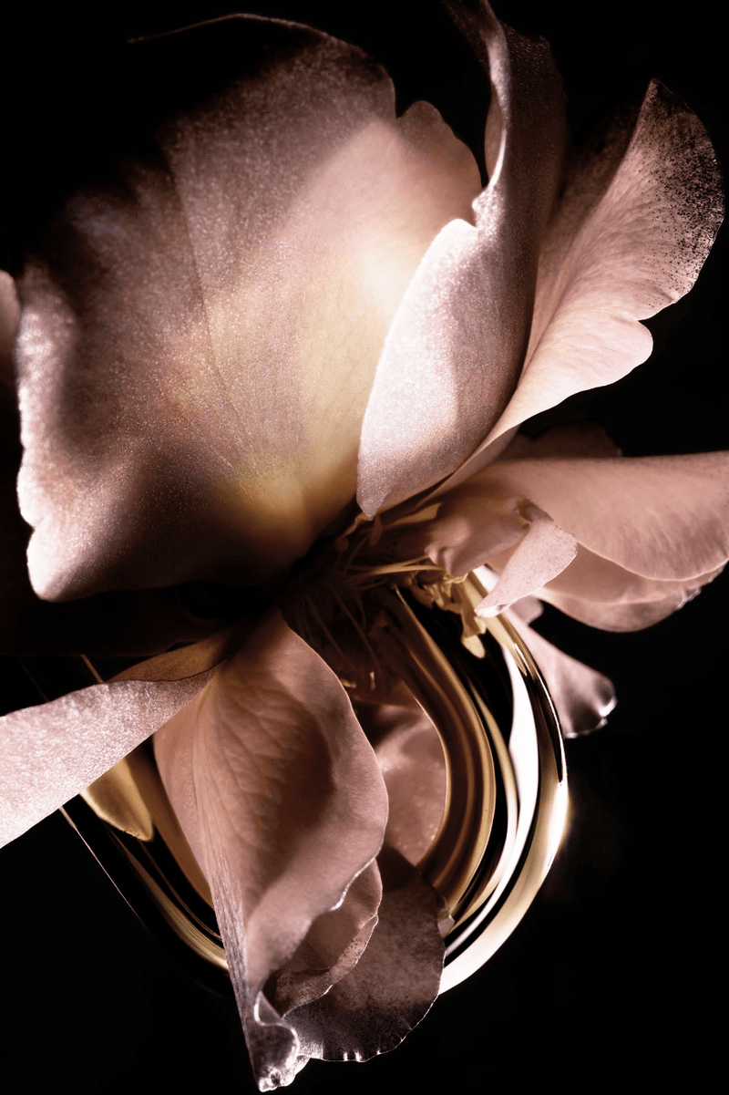 gigi hadid holding perfume bottle, rabanne, one in a million, fragrance, scent, perfume, beauty