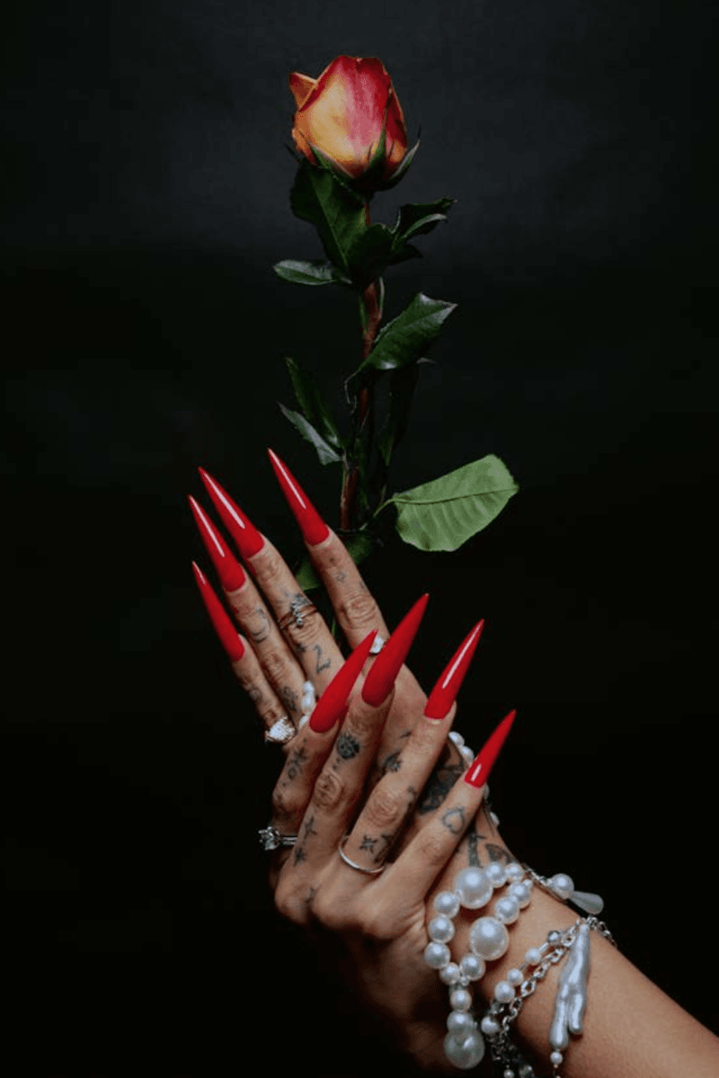 women sporting nail extensions with art, tembe denton-hurst nail art book fresh sets: contemporary nail art from around the world, beauty