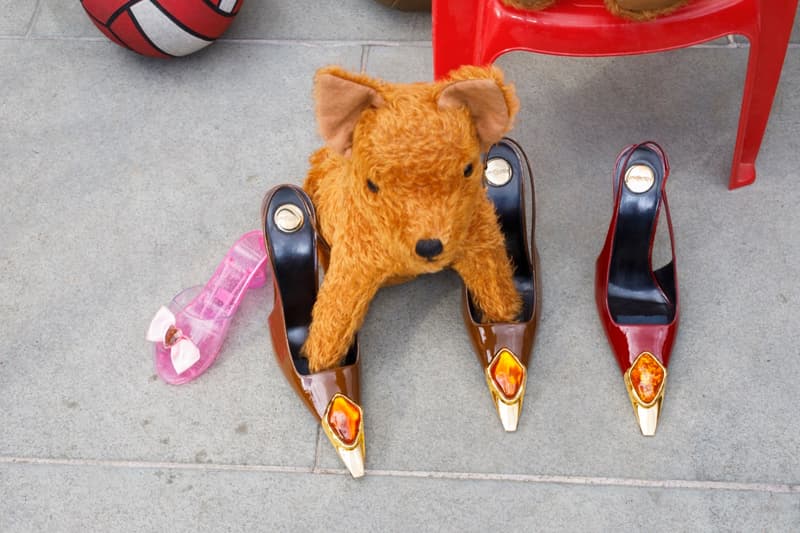 saint laurent summer picnic beach food jam toast ysl logo bags dogs sunglasses