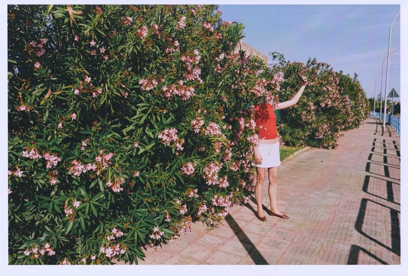 fruity booty, swimwear, bikinis, fish prints, sea, woman, girl, lying down, on the beach