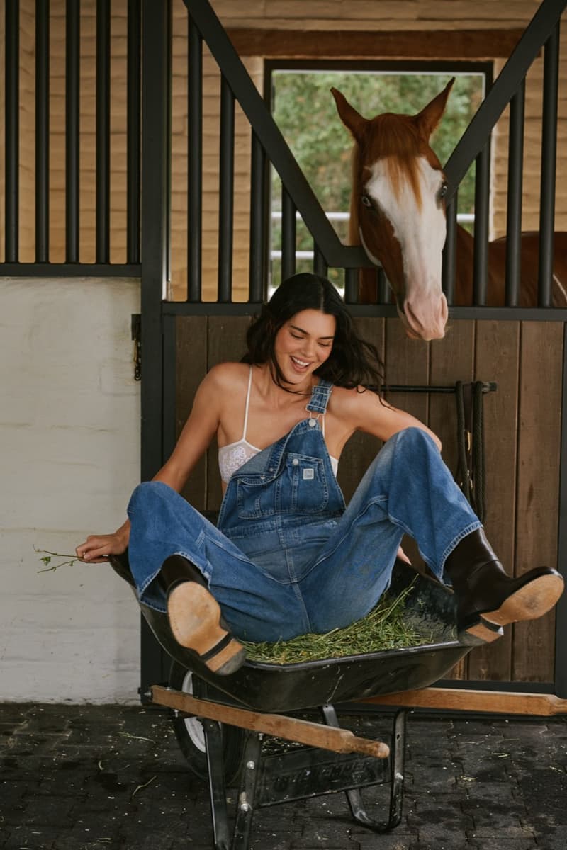 kendall jenner, fwrd, western, horse, swimwear, bikinis, caps